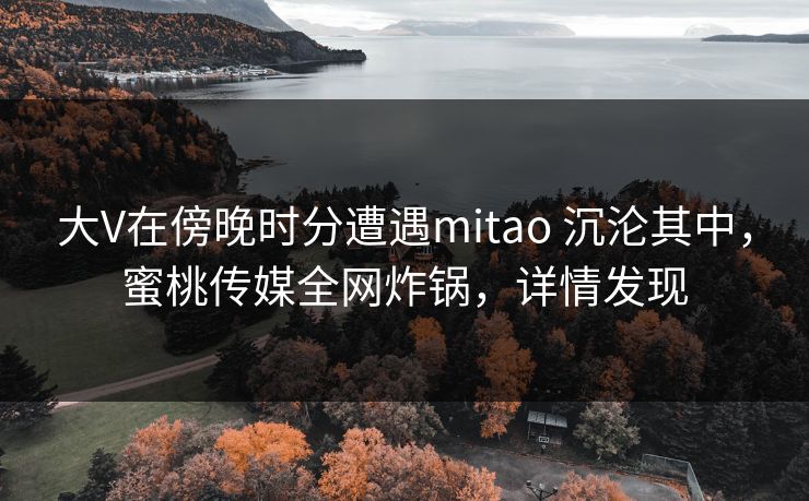 大V在傍晚时分遭遇mitao 沉沦其中，蜜桃传媒全网炸锅，详情发现
