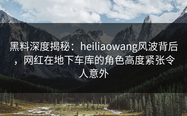 黑料深度揭秘：heiliaowang风波背后，网红在地下车库的角色高度紧张令人意外