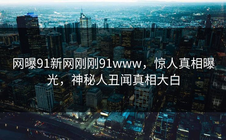 网曝91新网刚刚91www，惊人真相曝光，神秘人丑闻真相大白