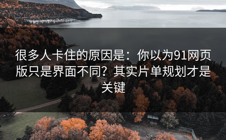 很多人卡住的原因是:你以为91网页版只是界面不同?其实片单规划才是关键 很多人卡住的原因是:你以为91网页版只是界面不同?其实片单规划才是关键